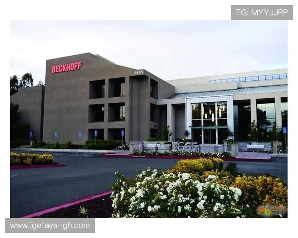 金木棉娱乐引领潮流，打造最具影响力的娱乐品牌